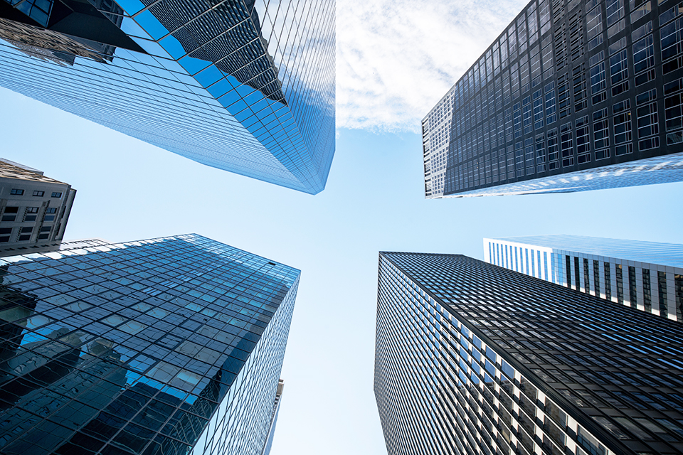 ALP International - Our Vision - Diamo respiro al futuro